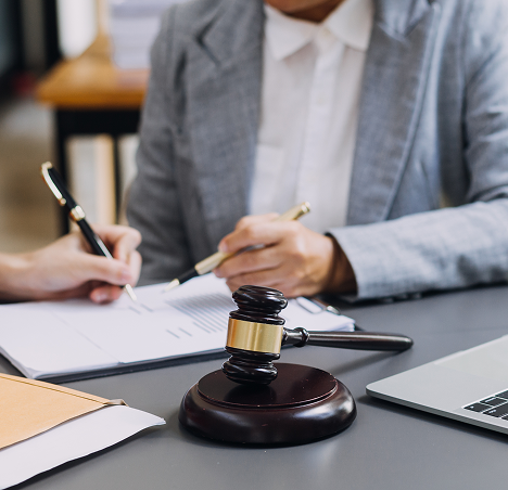Services Civil Litigation Service